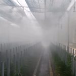 Hệ thống phun sương nhà xưởng